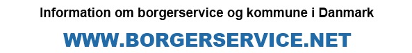 borgerservice - kommune